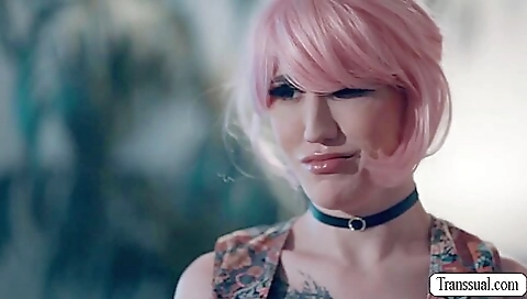 Haired Shemale Lets Sad Stepbro Bareback Haired Shemale Lets Sad Stepbro Bareback