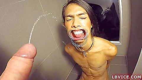 Ladyboy Cat Gives Blowjob After Getting Pissed On